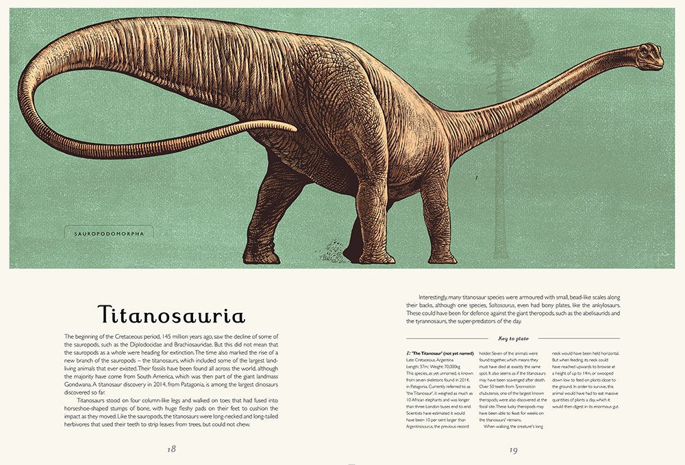 Dinosaurium - Born Childrens Boutique