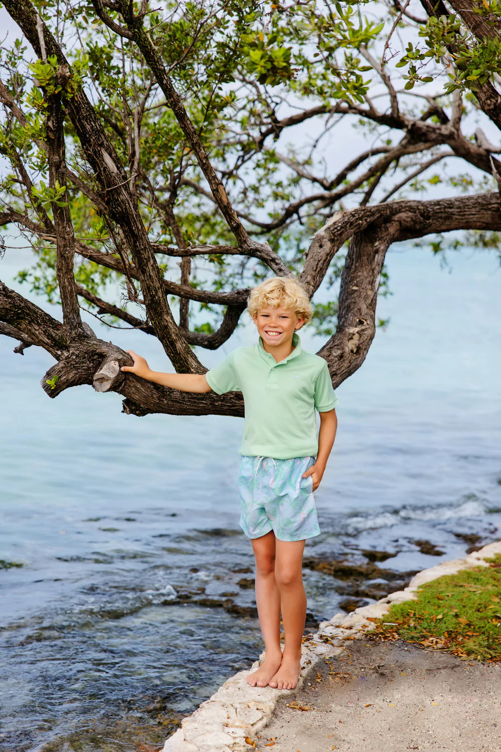Tortola Swim Trunks Parrot Island Palms - Born Childrens Boutique