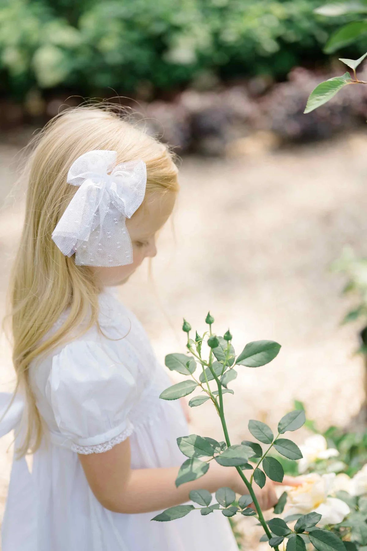 Ceremony Tuile Swiss Dot Sailor Bow, Ivory - Born Childrens Boutique