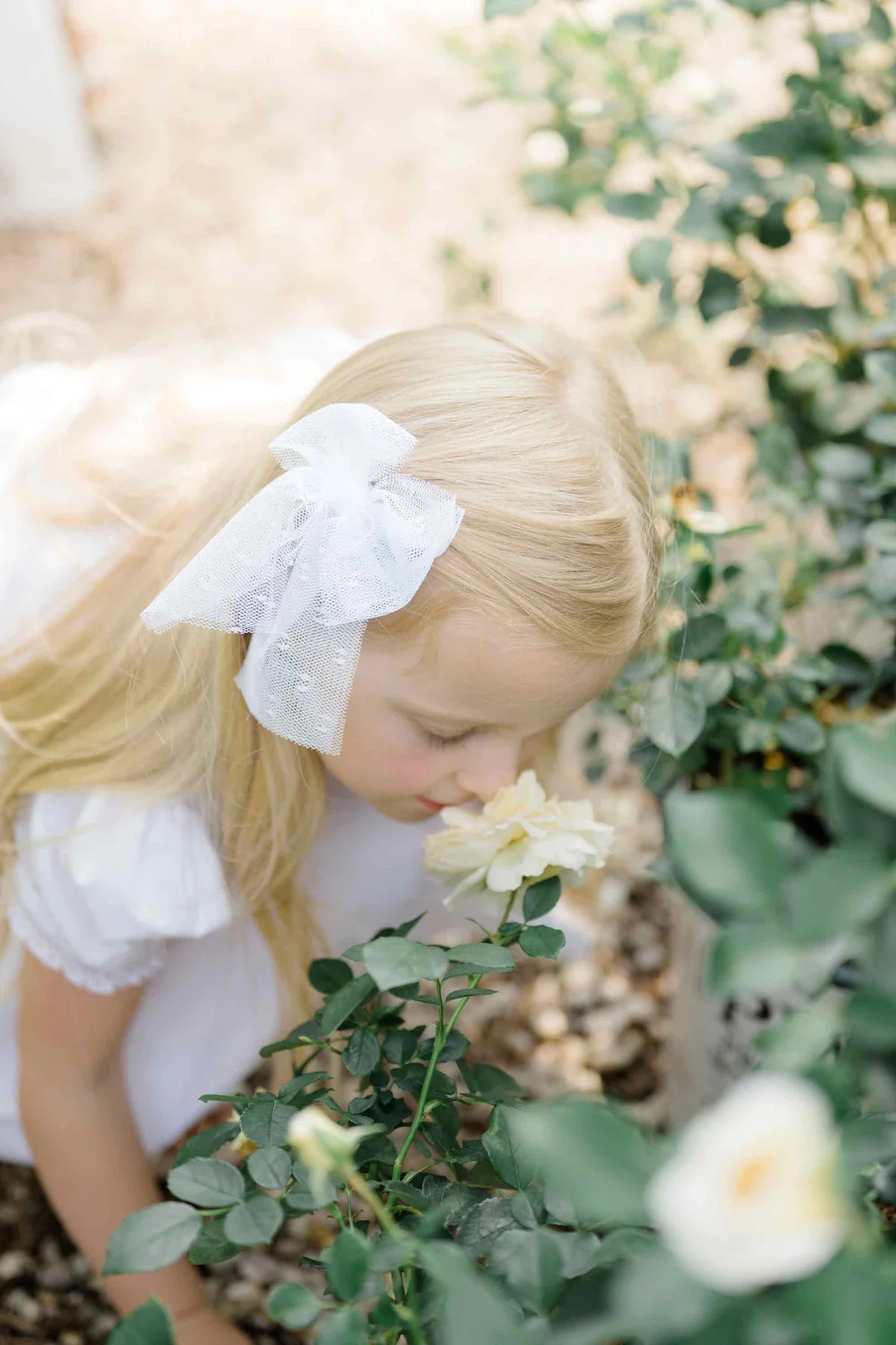 Ceremony Tuile Swiss Dot Sailor Bow, Ivory - Born Childrens Boutique