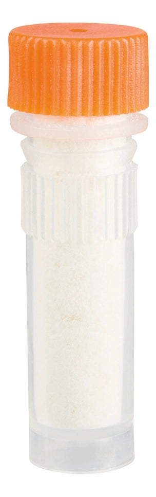 Beetle & Bee Bird Call - Born Childrens Boutique