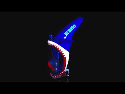 Shark Snorkel Mask