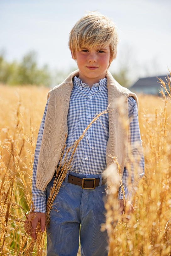 Little English Button Down Shirt - Gray Blue Gingham - Born Childrens Boutique