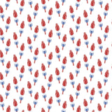 Lila + Hayes Charles Short Set, PATRIOTIC POPSICLES - Born Childrens Boutique