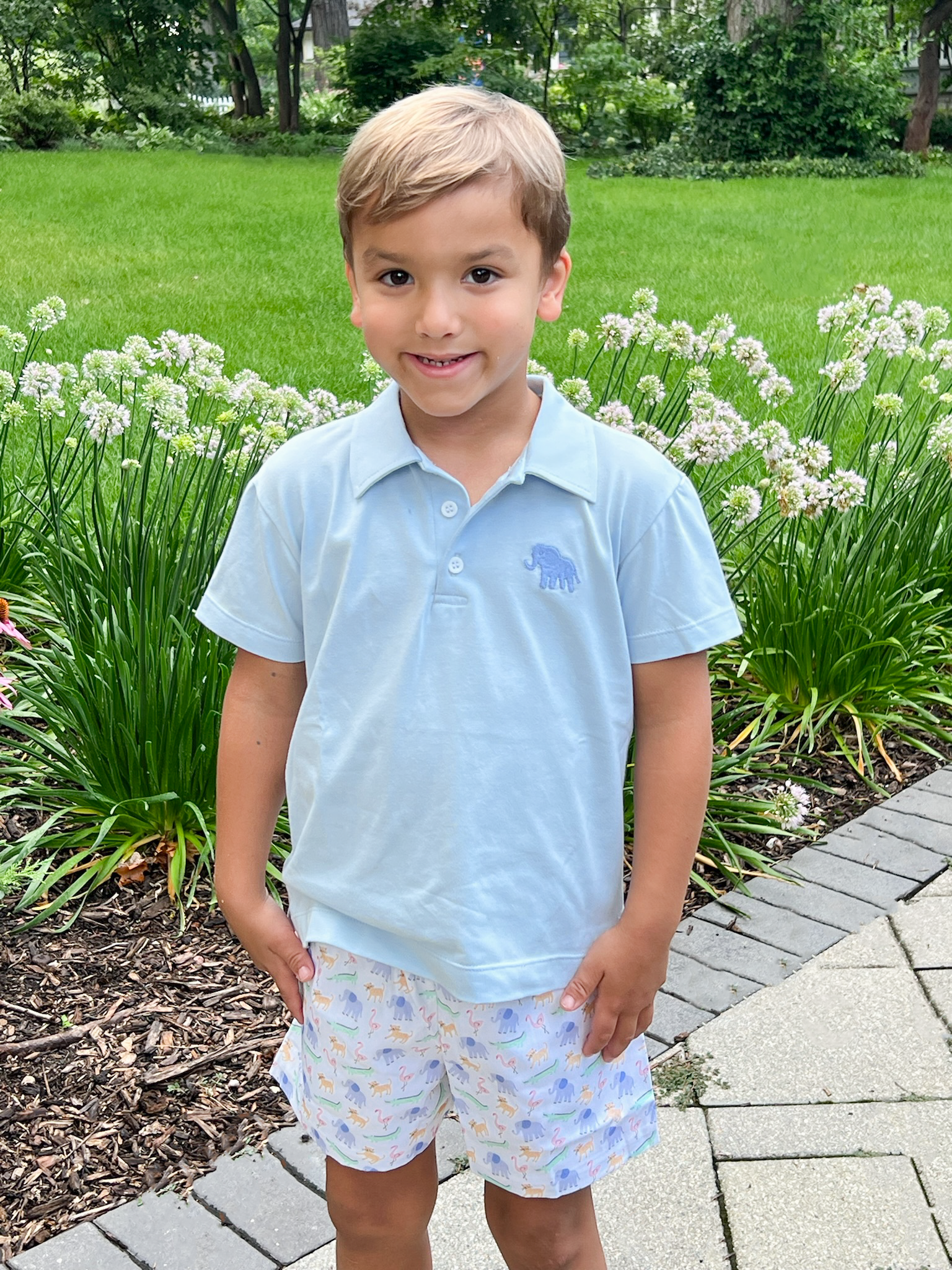 Zoo-pendous Conrad Shorts - Born Childrens Boutique