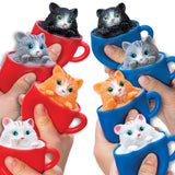 Pop a Chino Kitties - Born Childrens Boutique