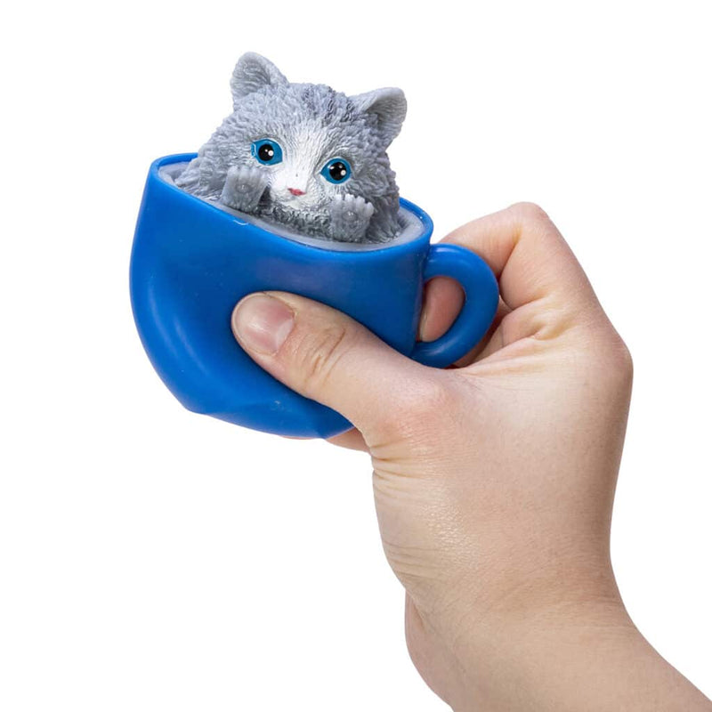 Pop a Chino Kitties - Born Childrens Boutique