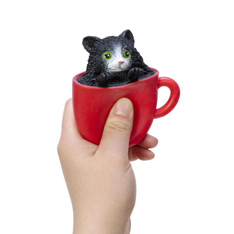 Pop a Chino Kitties - Born Childrens Boutique