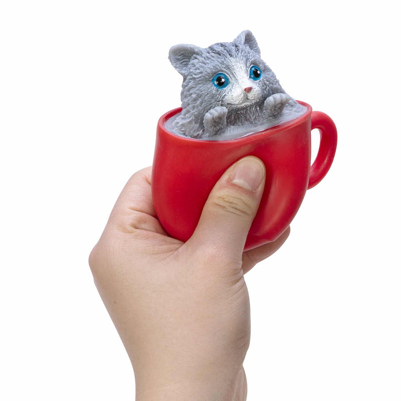 Pop a Chino Kitties - Born Childrens Boutique