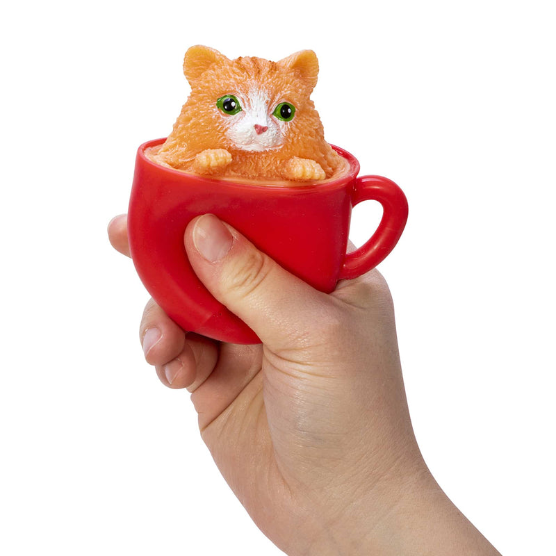 Pop a Chino Kitties - Born Childrens Boutique