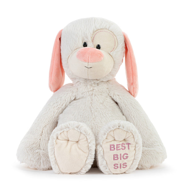 Best Big Sister Plush Dog 16" - Born Childrens Boutique