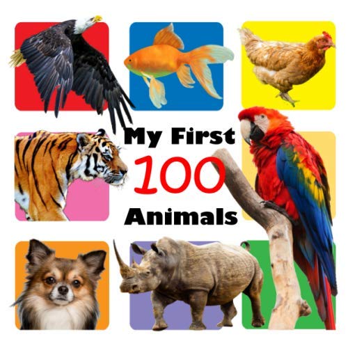 My First 100 Animal Words - Born Childrens Boutique