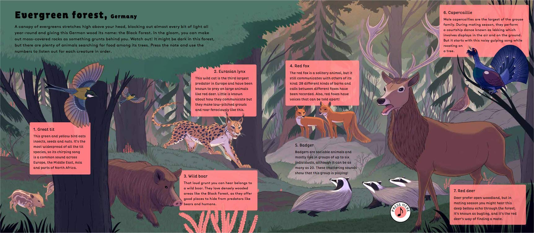 Sounds of Nature Forests - Born Childrens Boutique