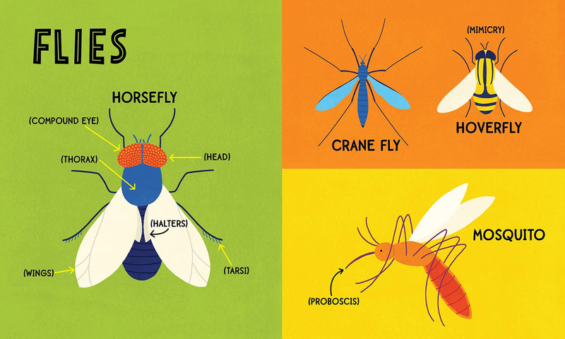 My First 100 Bug Words - Born Childrens Boutique