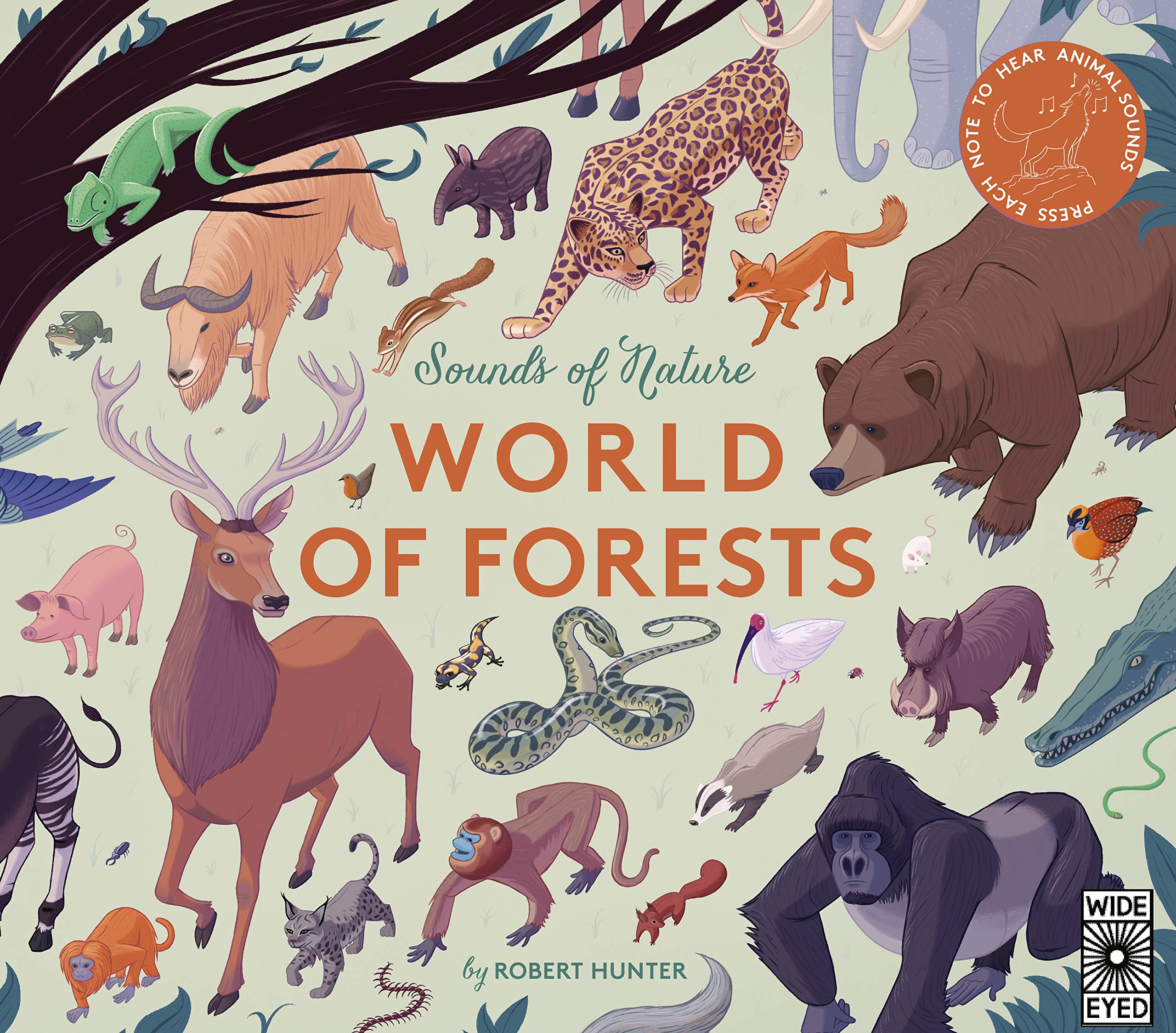 Sounds of Nature Forests - Born Childrens Boutique