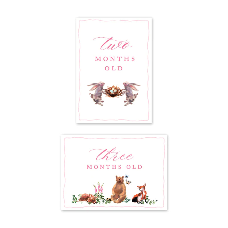 Woodland Pink Milestone Cards - Born Childrens Boutique