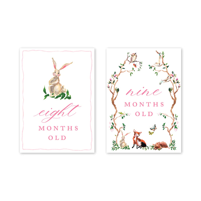Woodland Pink Milestone Cards - Born Childrens Boutique