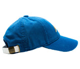 Kids Baseball Hat, Stegosaurus on Cobalt - Born Childrens Boutique