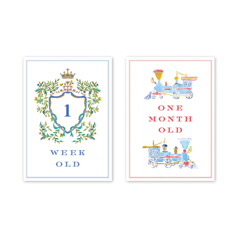 Joys of Boys  Milestone Cards - Born Childrens Boutique