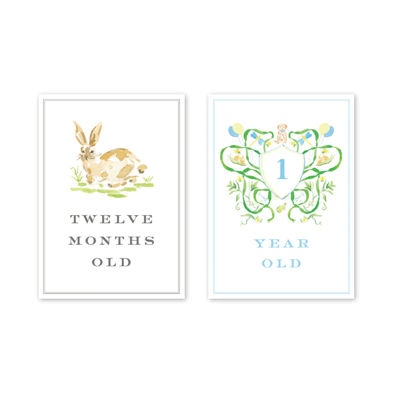 Joys of Boys  Milestone Cards - Born Childrens Boutique
