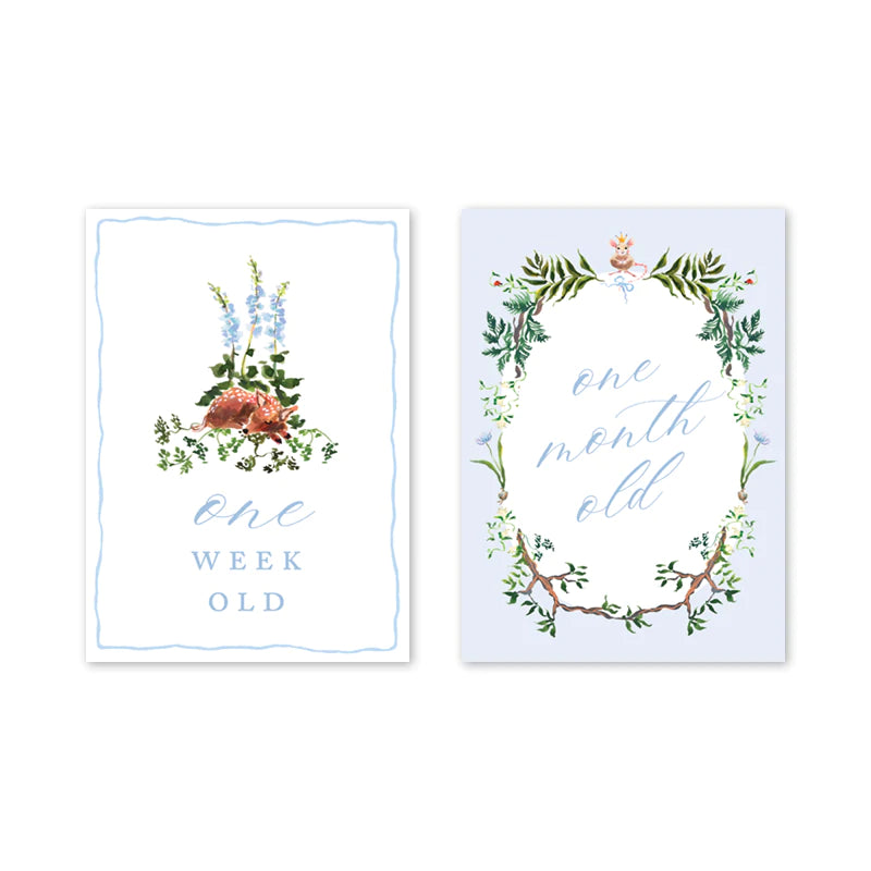Woodland Blue Milestone Cards - Born Childrens Boutique