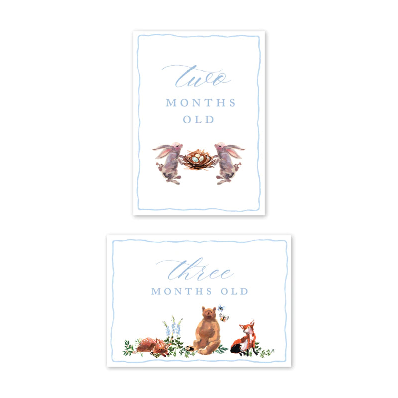 Woodland Blue Milestone Cards - Born Childrens Boutique