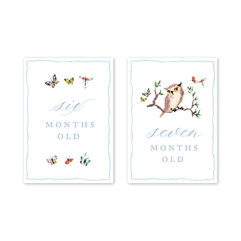 Woodland Blue Milestone Cards - Born Childrens Boutique