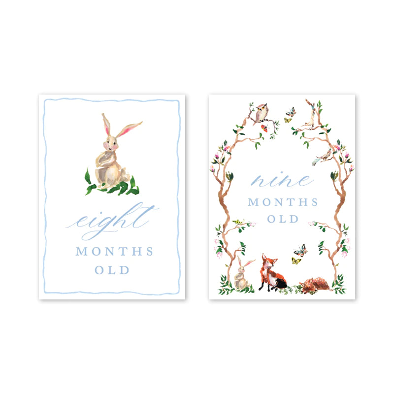 Woodland Blue Milestone Cards - Born Childrens Boutique