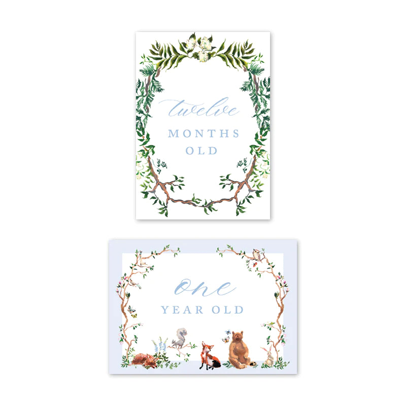 Woodland Blue Milestone Cards - Born Childrens Boutique