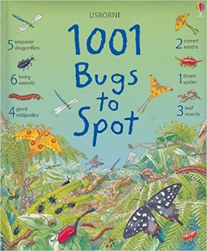 1001 Bugs to Spot - Born Childrens Boutique