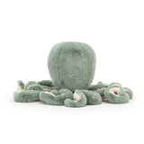 Odyssey Octopus Medium - Born Childrens Boutique