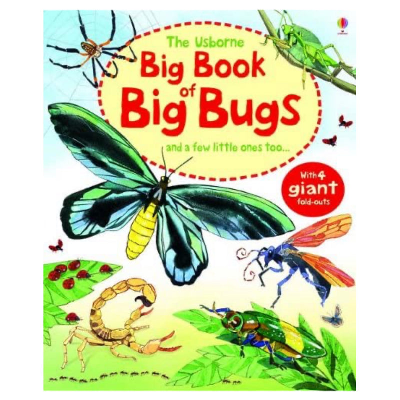 Big Book of Big Bugs - Born Childrens Boutique